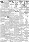 imagen miniatura de la página