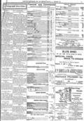 imagen miniatura de la página