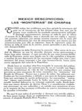 imagen miniatura de la página