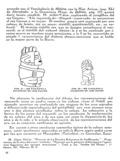 imagen miniatura de la página