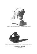 imagen miniatura de la página