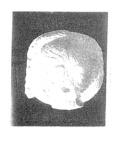 imagen miniatura de la página