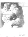 imagen miniatura de la página