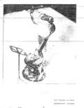 imagen miniatura de la página
