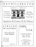 imagen miniatura de la página