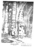 imagen miniatura de la página