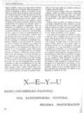 imagen miniatura de la página