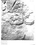 imagen miniatura de la página