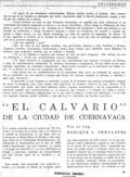imagen miniatura de la página