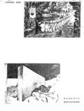imagen miniatura de la página