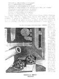 imagen miniatura de la página