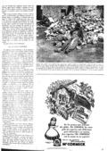 imagen miniatura de la página