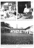 imagen miniatura de la página