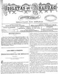 imagen miniatura de la página