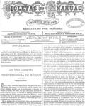 imagen miniatura de la página