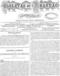 imagen miniatura de la página