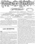 imagen miniatura de la página