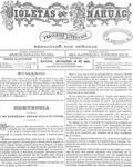 imagen miniatura de la página