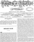 imagen miniatura de la página