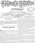 imagen miniatura de la página