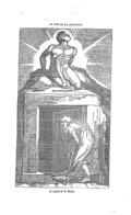 imagen miniatura de la página