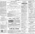 imagen miniatura de la página