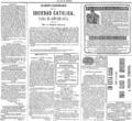 imagen miniatura de la página