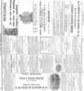 imagen miniatura de la página