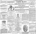 imagen miniatura de la página
