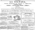 imagen miniatura de la página