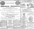 imagen miniatura de la página
