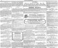 imagen miniatura de la página