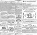 imagen miniatura de la página