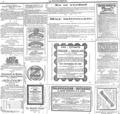 imagen miniatura de la página