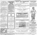 imagen miniatura de la página