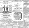 imagen miniatura de la página