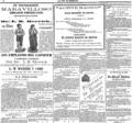 imagen miniatura de la página