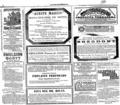 imagen miniatura de la página