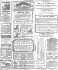 imagen miniatura de la página