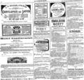 imagen miniatura de la página