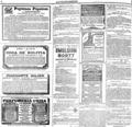 imagen miniatura de la página