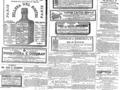 imagen miniatura de la página