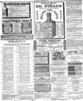 imagen miniatura de la página