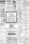 imagen miniatura de la página