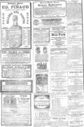 imagen miniatura de la página