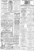 imagen miniatura de la página