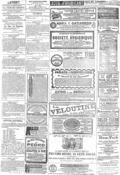 imagen miniatura de la página