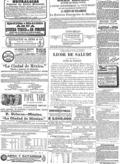 imagen miniatura de la página