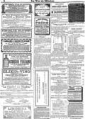 imagen miniatura de la página