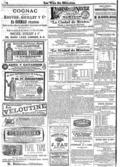 imagen miniatura de la página